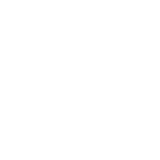 v0