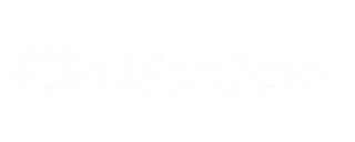 Voiceflow